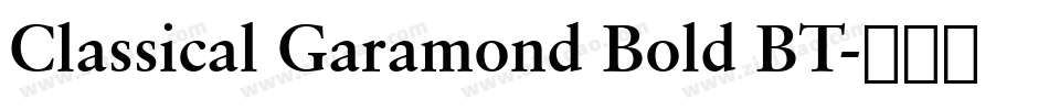 Classical Garamond Bold BT字体转换